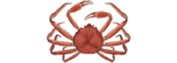 Alaska Snow Crab